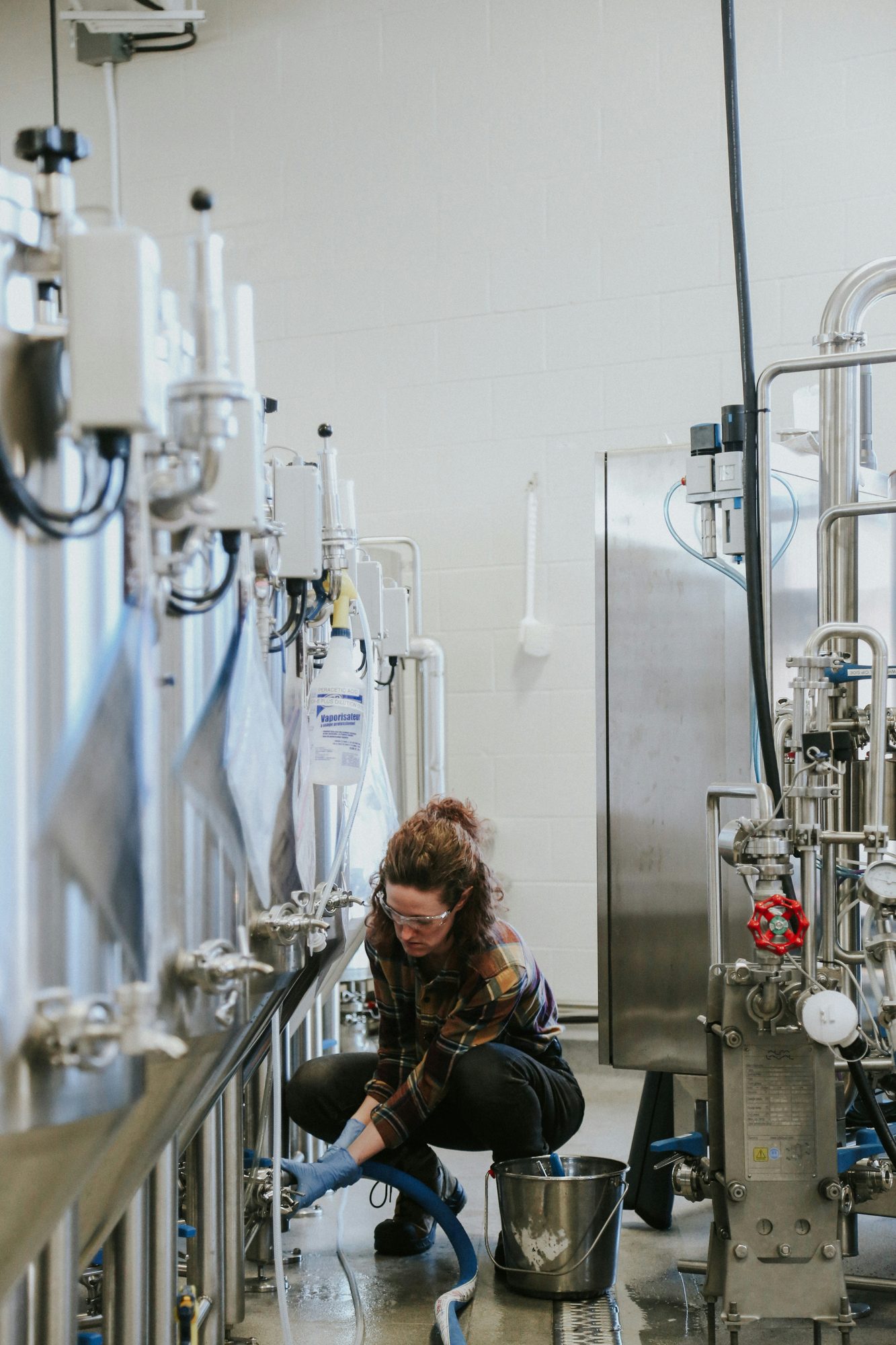 Cellar worker reviewing brewery production reports and dashboards